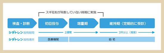 シダトレンの治療のスケジュール