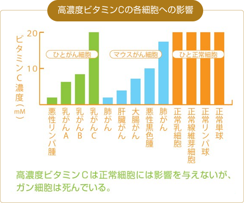 超高濃度ビタミンc点滴療法 京都 七条武田クリニック